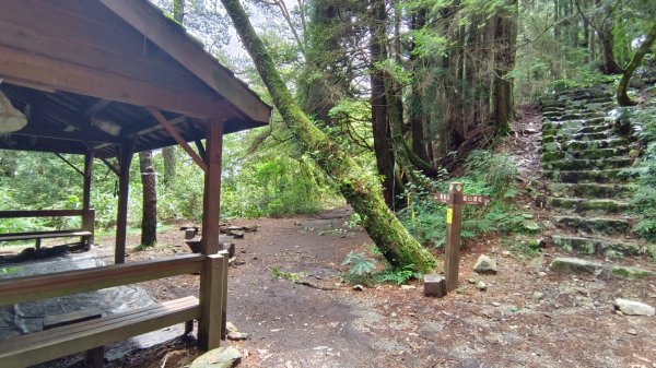 馬崙山之美1756021