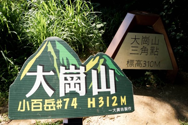 大崗山步道｜小百岳2812778