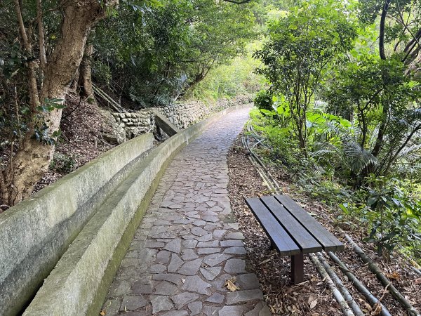 2024_1020 貴子坑親山步道2634253