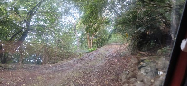 2025 4/5 加奈美山2754448