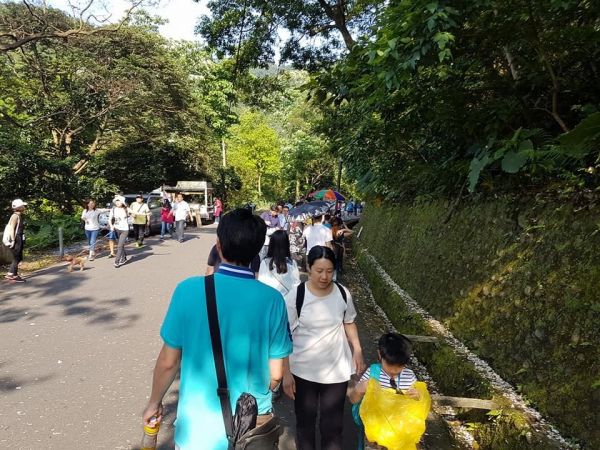 土城桐花公園步道123783