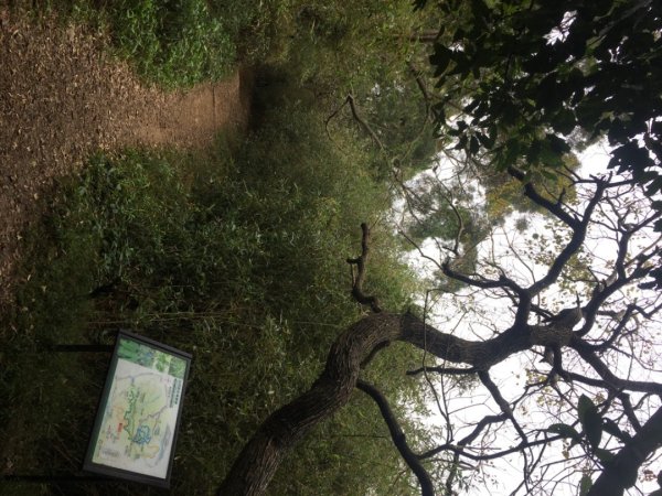 五酒桶山、南崁山2693337