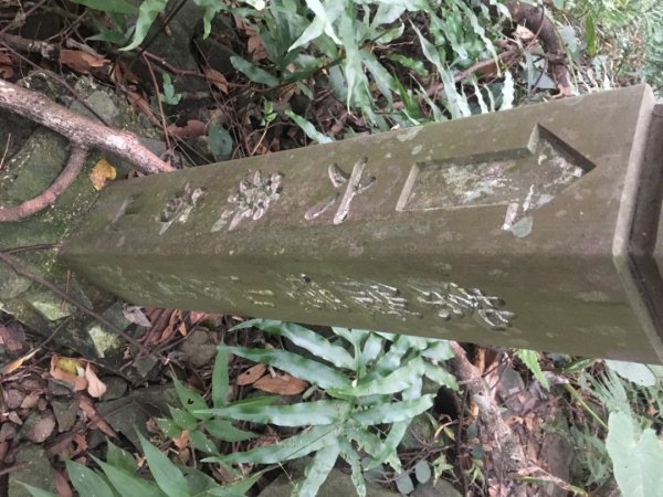 六寮崙山、雞罩山、白雞山8字走2371075