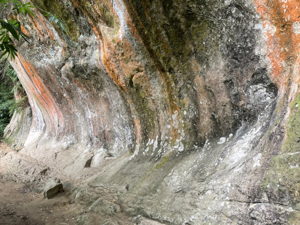 福德坑山（鳶山）小百岳>>上帝畫布鳶山彩壁1754180