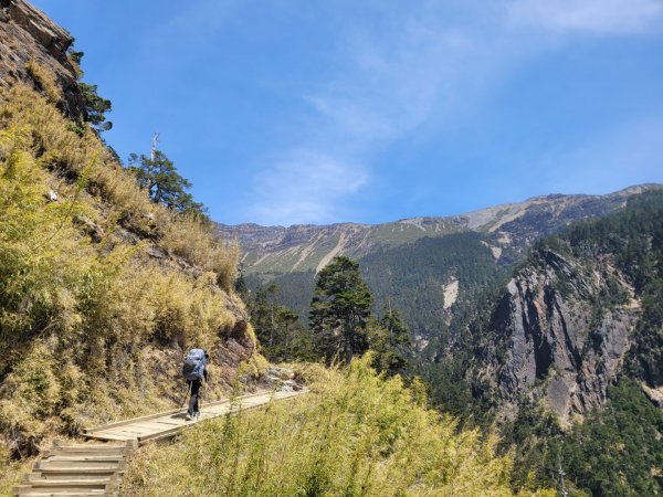 20230416玉山後四峰三天(百岳第76~79座)2127289