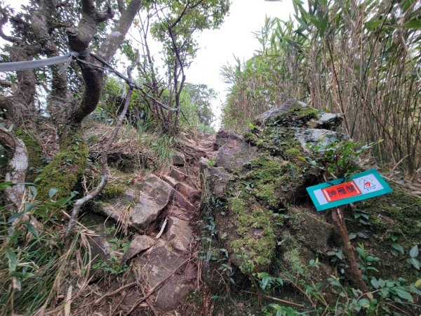 2022.09.20 小觀音山-大屯溪古道1852177