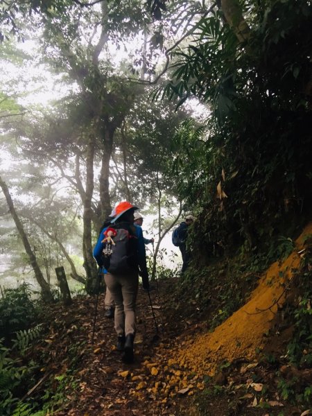 瓏美麗一週一步道（馬那邦山）558295