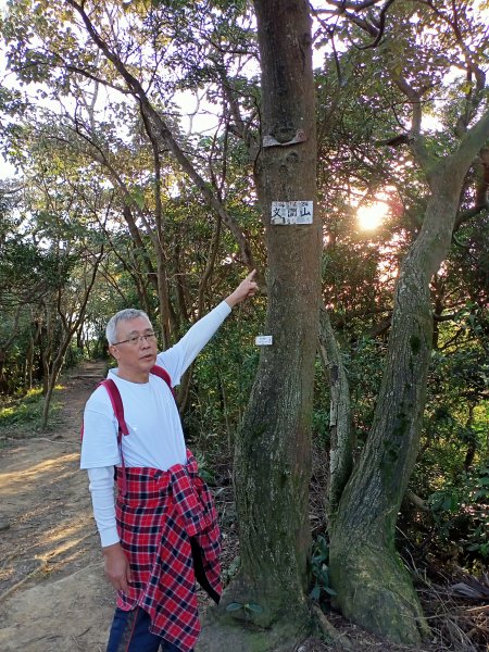 【臺北大縱走 5】劍潭山→文間山1242203