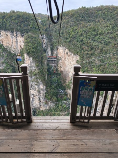 2025/11/11日張家界大峽谷2941016