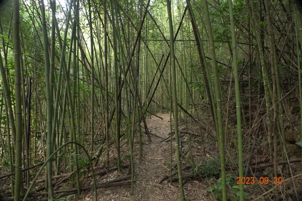 苗栗 大湖 玉女山、金童山、汶水山2301473