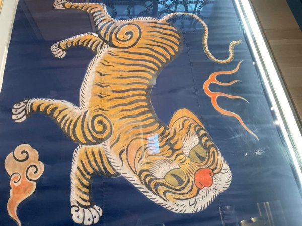 雨天備案💙 台灣博物館的古生代館-台大動植物館免費參觀-北投♨️季2799038