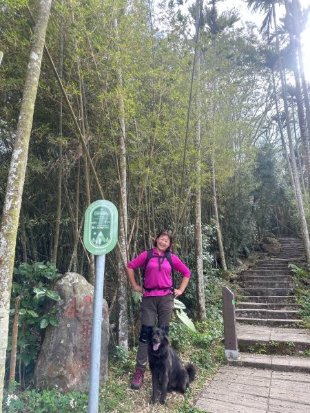 嘉雲二尖山、大尖山2734870