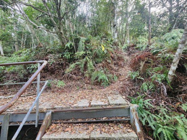 20260321貓頭山西關刀山能高瀑布O型3043791