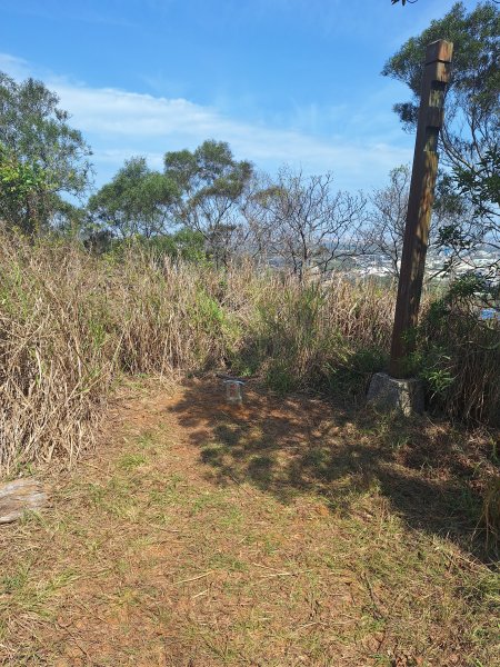 造橋口山古道202503122734392