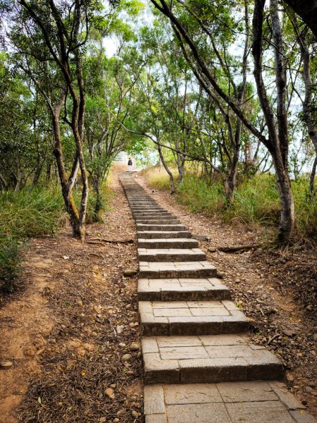 2025-12-14 大肚萬里長城步道、環保公園步道、旗開得勝步道2968960