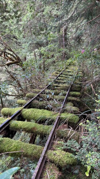 太平山運材軌道見晴線2588845