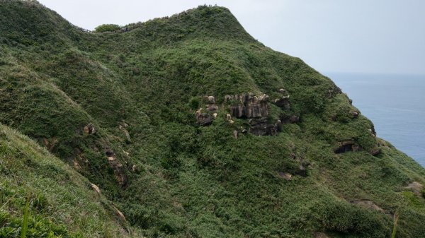 鼻頭角稜古步道921477