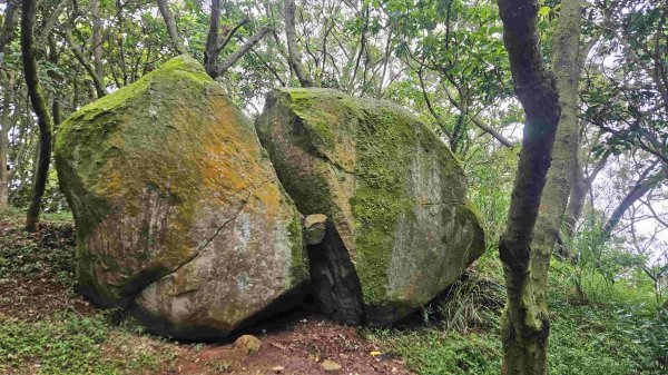 20250424八勢古道-東小坪頂山-貴子坑山主東西-水磨坑山2769513
