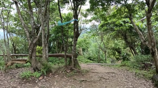 汐止區翠湖步道-學頭坡步道-老鷲尖-內溝山步道-翠湖P字走3051237