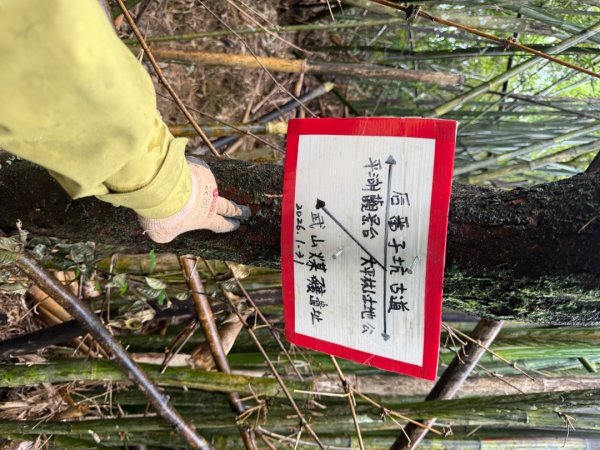 三林一后一紙及武山煤礦文化遺址8字行2991133