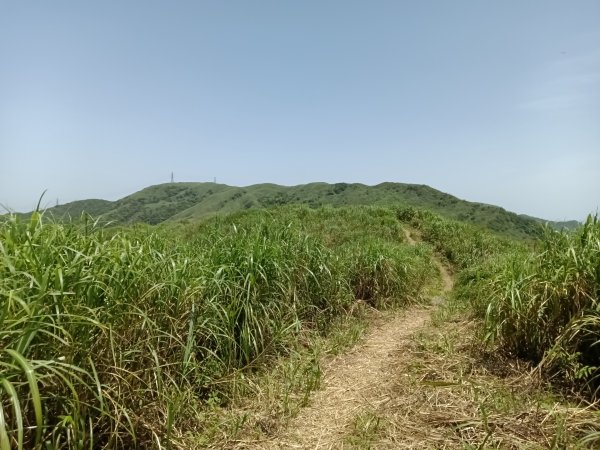 雙溪區不厭亭+牡丹山+樹梅坪+鷹石岩山神廟+不厭亭+奉憲示禁碑+三貂崙+不厭亭8字走2766303