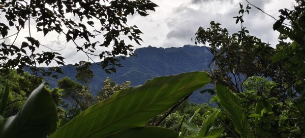 2025/07/19-大艽芎古道上溪洲山O型2841552