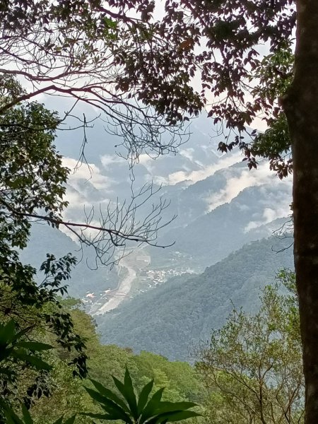 谷關阿冷山步道