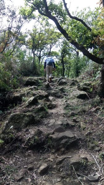 大尖山（小百岳）→四分尾山→秀峰瀑布306836