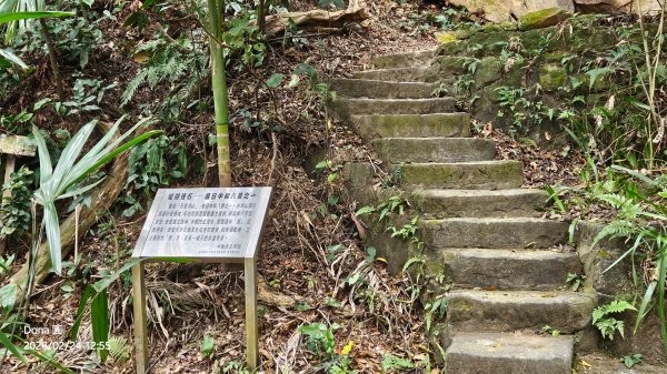 圓通寺烘爐地登山步道大O走3007070