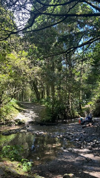 頭城坪溪古道2970964