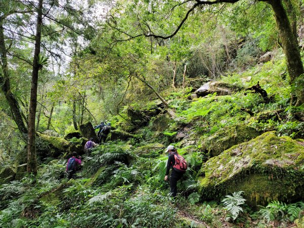 福巴越嶺國家步道2364487