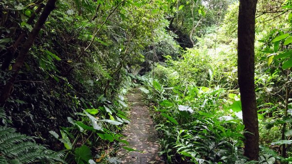 福州山,中埔山,黎和生態公園2234124