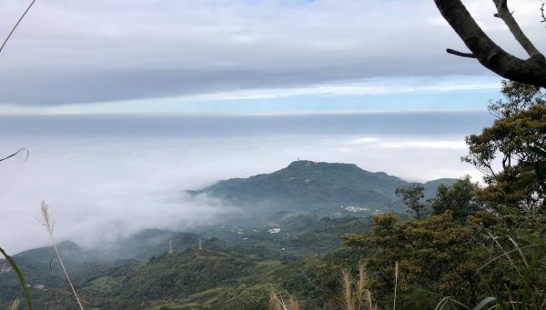 關仔嶺大凍山步道走曾文水庫O型1611819