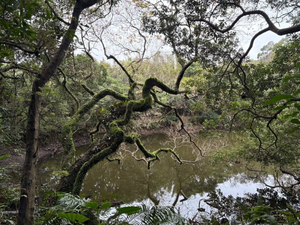 五酒桶山、南崁山2693329