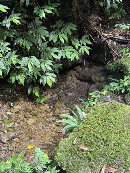 小百岳 - 獅仔頭山3034922
