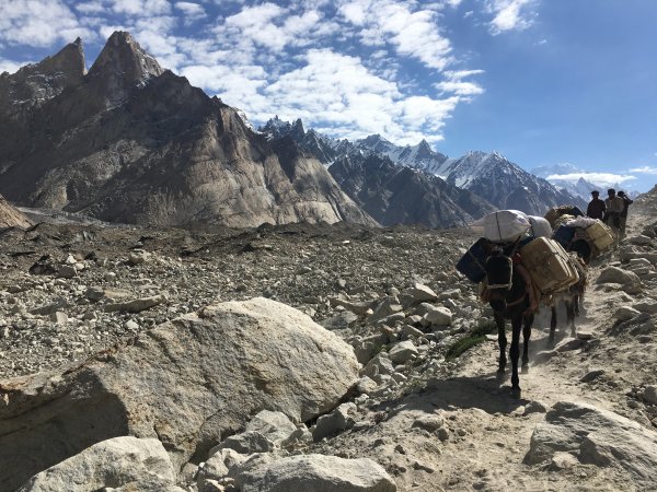 喀喇昆侖山K2基地營健行647906