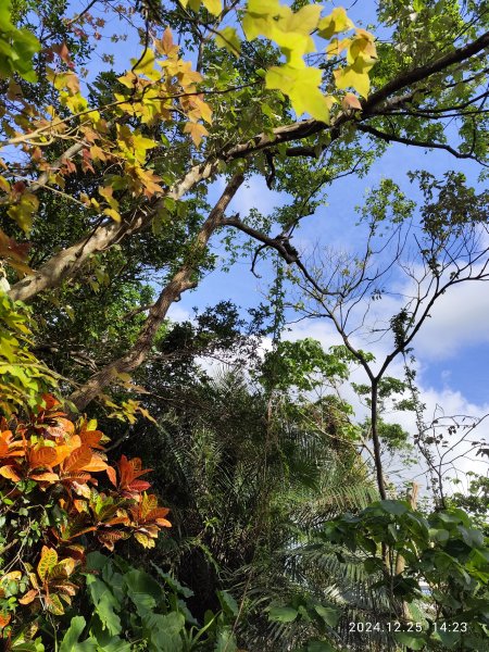 2-2 蘇澳冷泉公園→七星嶺步道→星嶺公園→蘇澳山→蘇澳運動公園→大安森林公園2678232