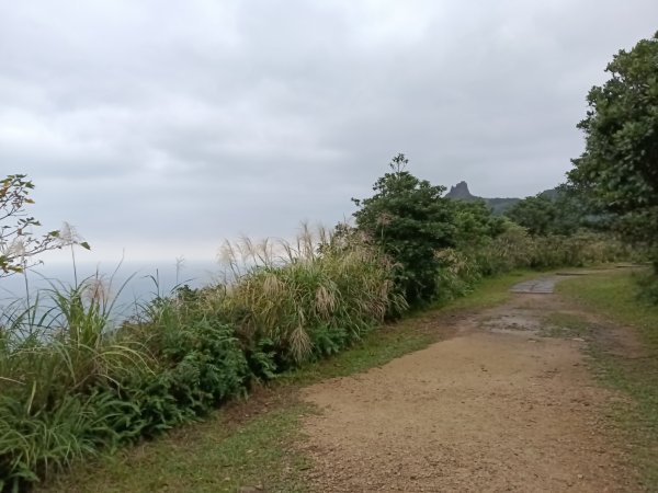 瑞芳區本山地質公園步道+草山公路+百二崁古道+樹梅坪古道O型2945510