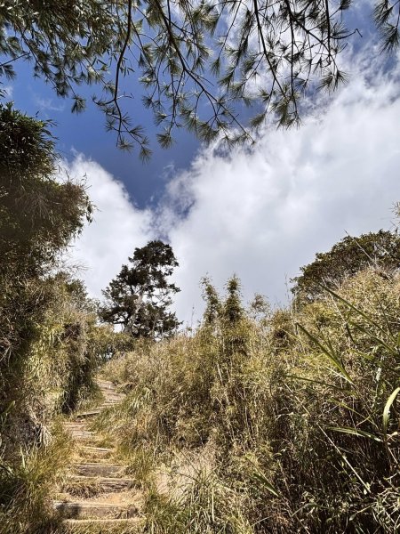 20260212回嘉遊的大塔山2999901