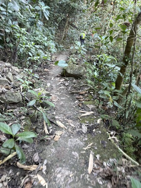 20251123三腳南山登山步道2944437
