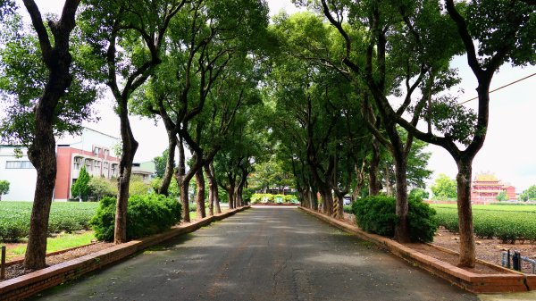 茶山步道,鎮南橋,鴉片菸潭,通學古道2602610