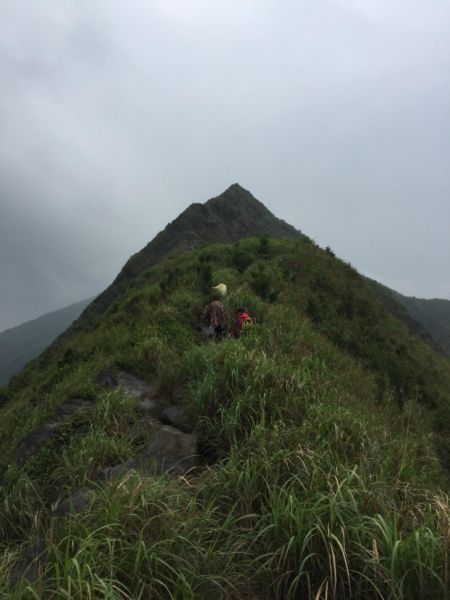 劍龍稜 茶壺山步道310004