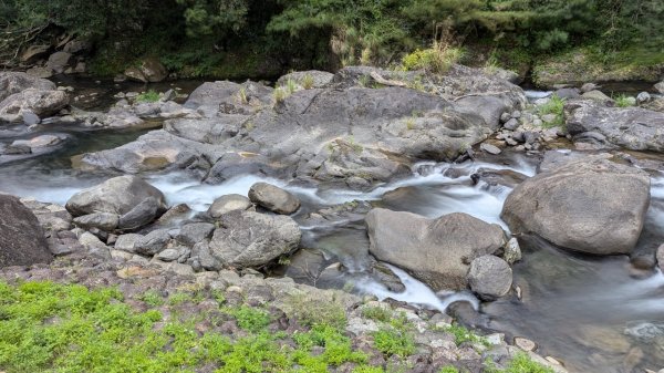 113.07.21福山蝴蝶公園-溪瀧步道之旅2564393