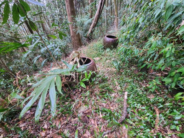 20260220板子寮山舊武界越山橫屏山O型3011639