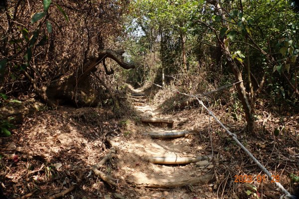 屏東 三地鄉 三地山、三地山南峰2020486