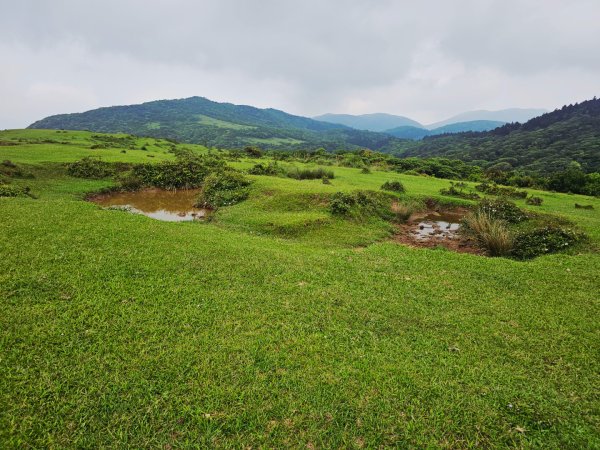 2026年臺北大縱走第三段：小油坑至風櫃口3037897