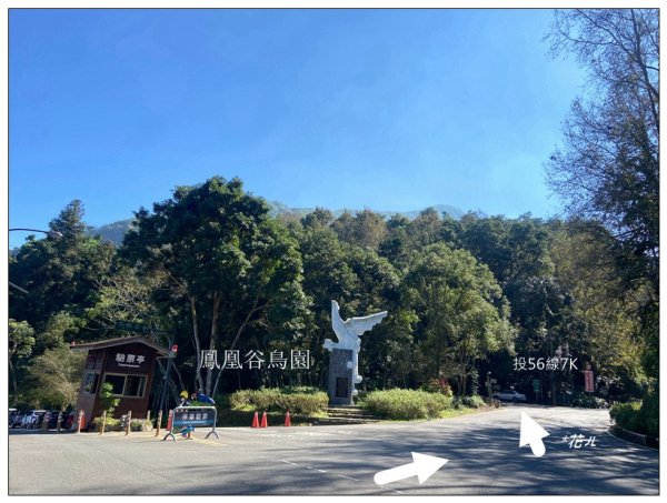 鳳凰谷步道(鹿谷鄉)2690425