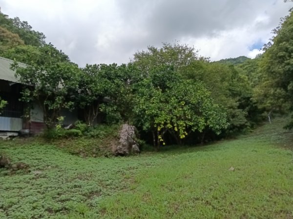 雙溪區盤山坑古道+過火坪古道O型2882372