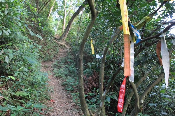 關西赤柯山.赤柯山南峰 .東獅頭山Ｏ型192249