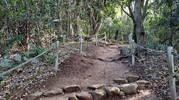 台北大縱走第一段1249090